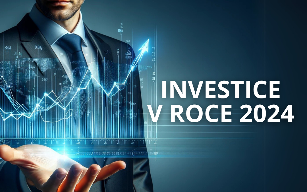 Jak si vedly investice v roce 2024?